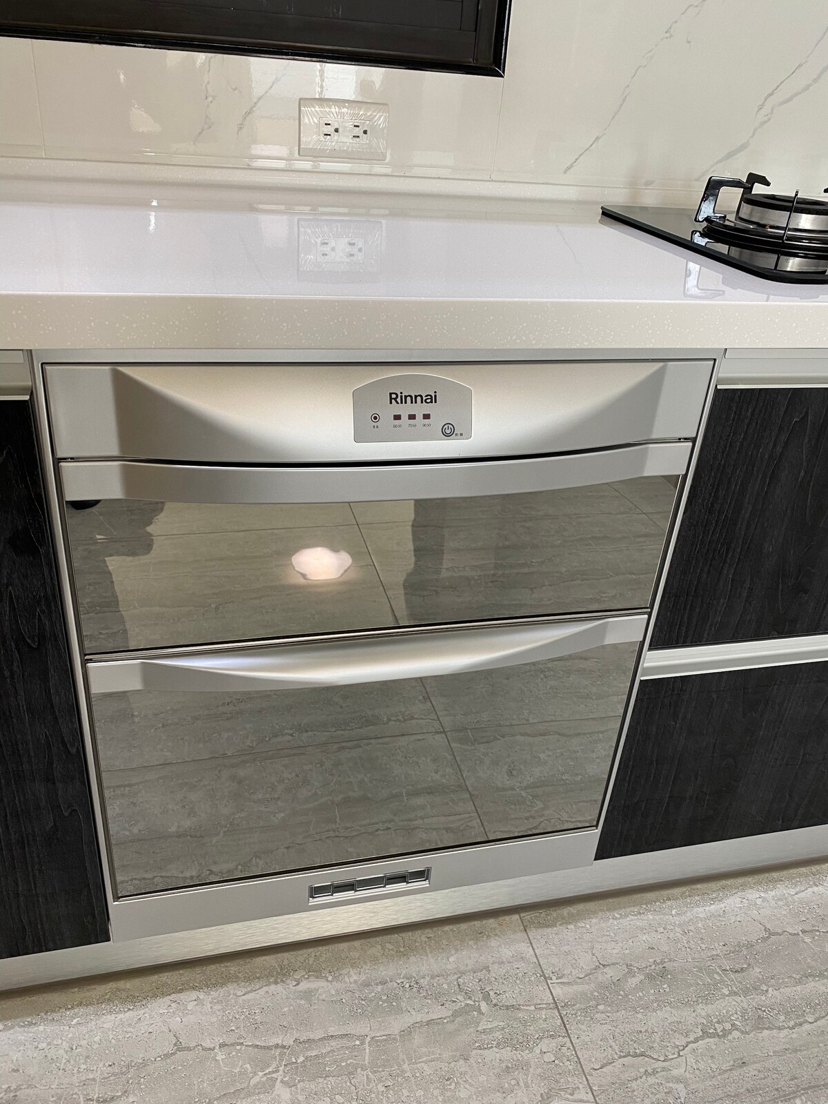A modern kitchen showcases a sleek, stainless steel Rinnai oven integrated into a polished countertops. The oven features a minimalist design with two compartments, and the subtle reflection of light enhances its contemporary appeal. A gas stove is positioned nearby on the countertop.