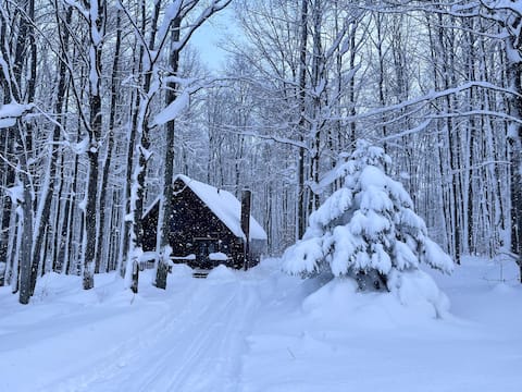 Bear Bottoms Chalet in the Woods