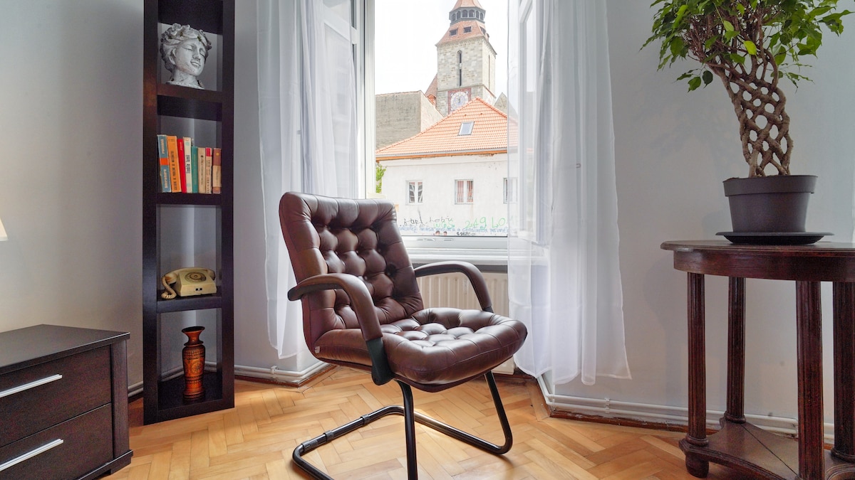 A comfortable brown leather chair is positioned by a window, offering a view of a historic building with a tower. Natural light fills the space, highlighting a small wooden table with a plant and a bookshelf containing colorful books.