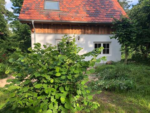 Quiet nature house in the Brandenburg Lake District
