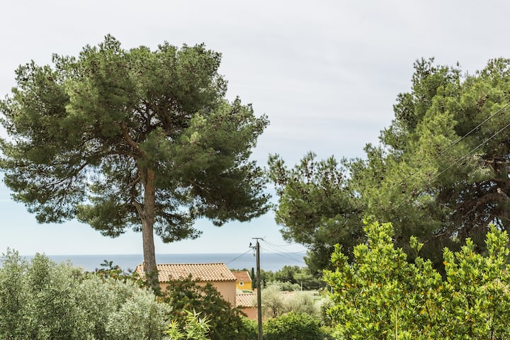 Le Cytise - T3 Vue Mer + Stationnement - Cassis