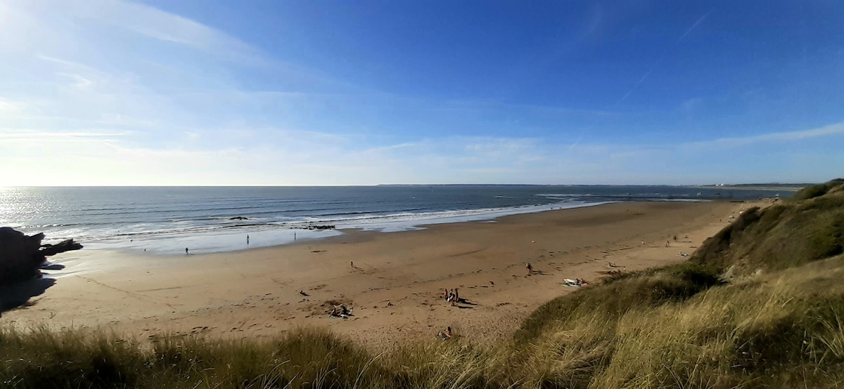 A wide sandy beach stretches along the coastline under a clear blue sky. Gentle waves lap at the shore, while a few figures can be seen enjoying the space. Dunes with tall grasses rise in the foreground, framing the serene seascape.