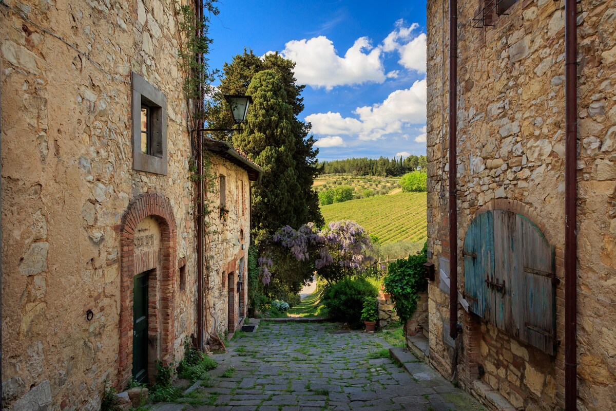 A picturesque pathway winds through a rustic village, flanked by stone buildings with green doors and wooden shutters. Lush vineyards stretch into the distance, while vibrant foliage and a flowering tree add natural beauty to the scene under a blue sky dotted with clouds.