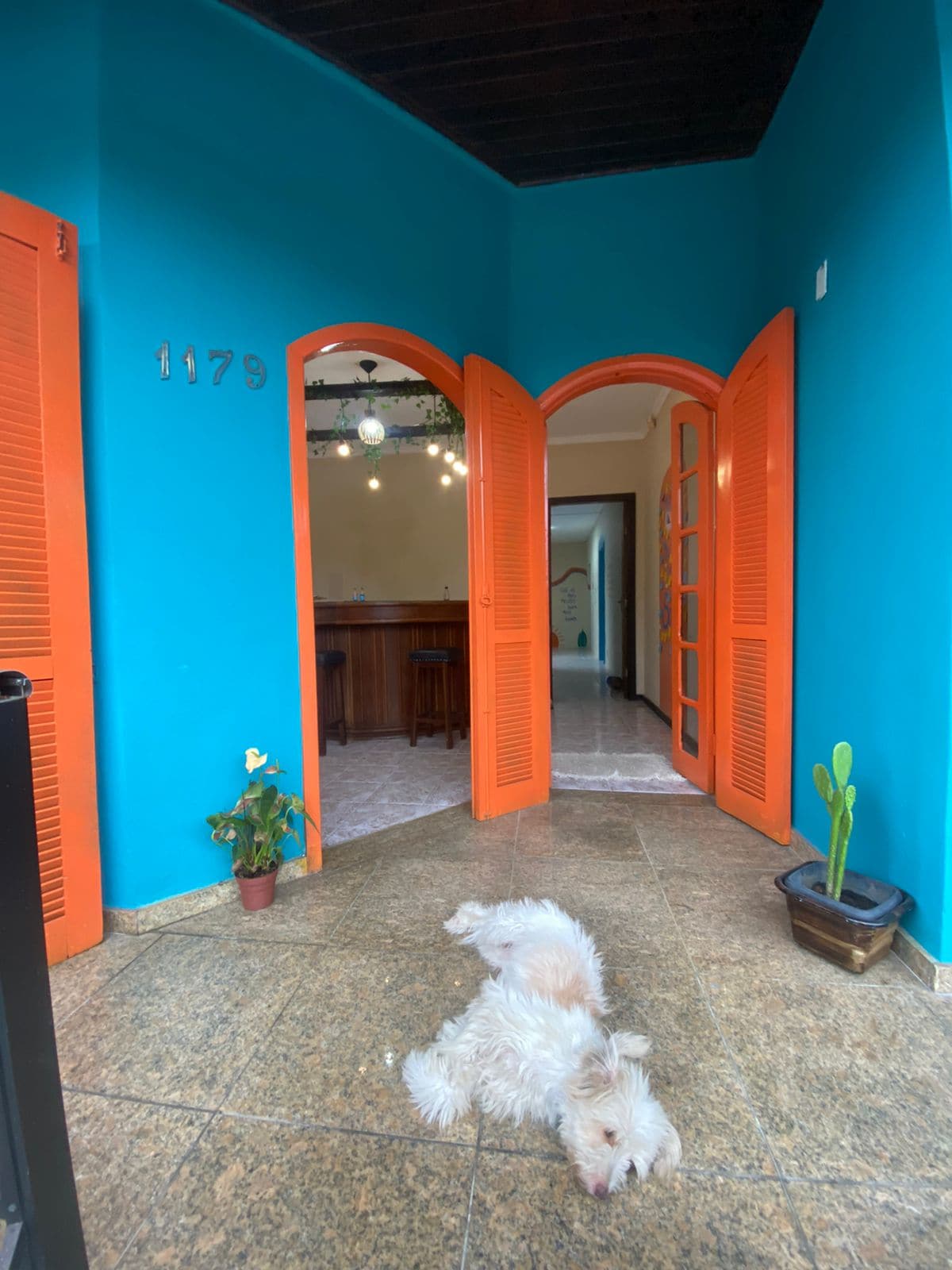 A bright entryway features vibrant blue walls complemented by orange doorways. The floor is tiled with stone, and a small potted plant is positioned near the entrance. A small dog is seen lying comfortably on the floor, adding a sense of warmth to the space.