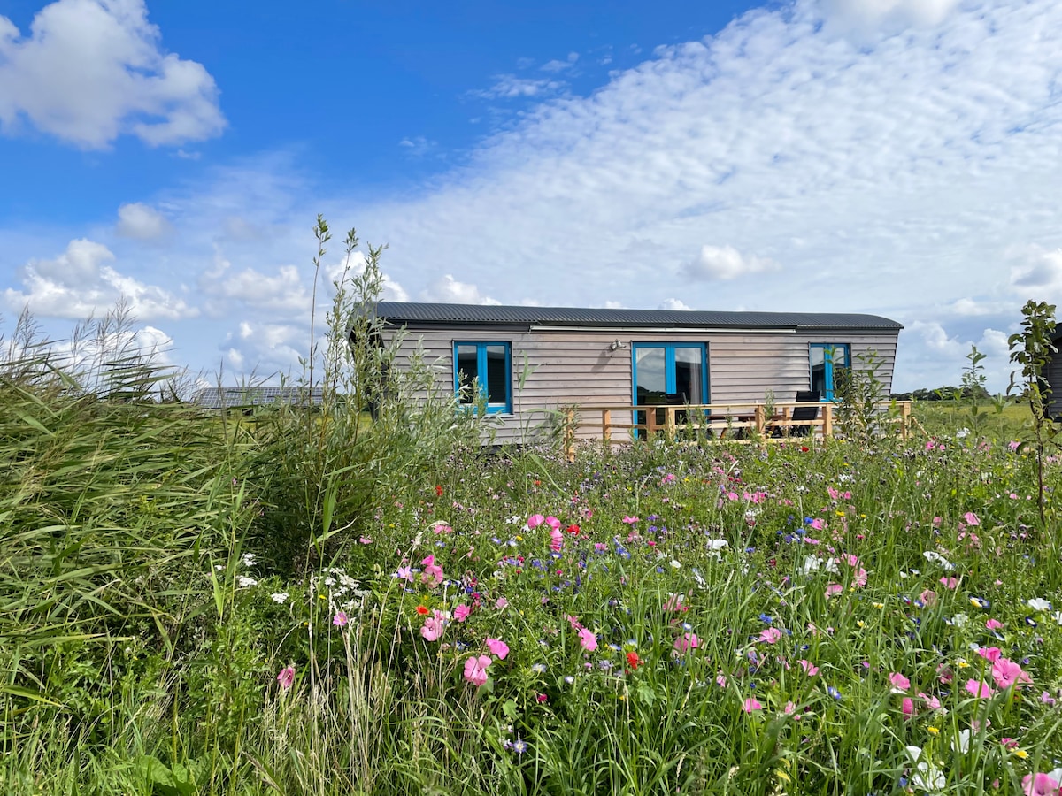 A wooden shepherd's hut is surrounded by vibrant wildflowers and tall grass. The structure features blue windows and a small deck, offering a welcoming entry point. The backdrop is a clear blue sky with white clouds scattered throughout, enhancing the natural setting.