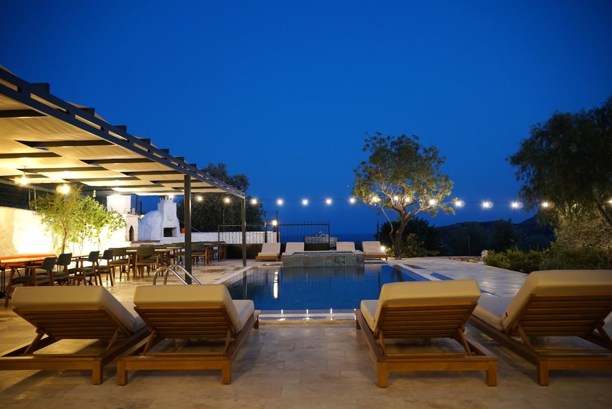 An outdoor area is featured, showcasing a saltwater pool beneath a night sky. Comfortable loungers are positioned around the pool, with soft lighting enhancing the ambiance. A shaded seating area with a long dining table is visible, surrounded by trees and greenery.