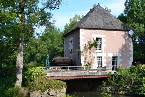 Paradise Mill