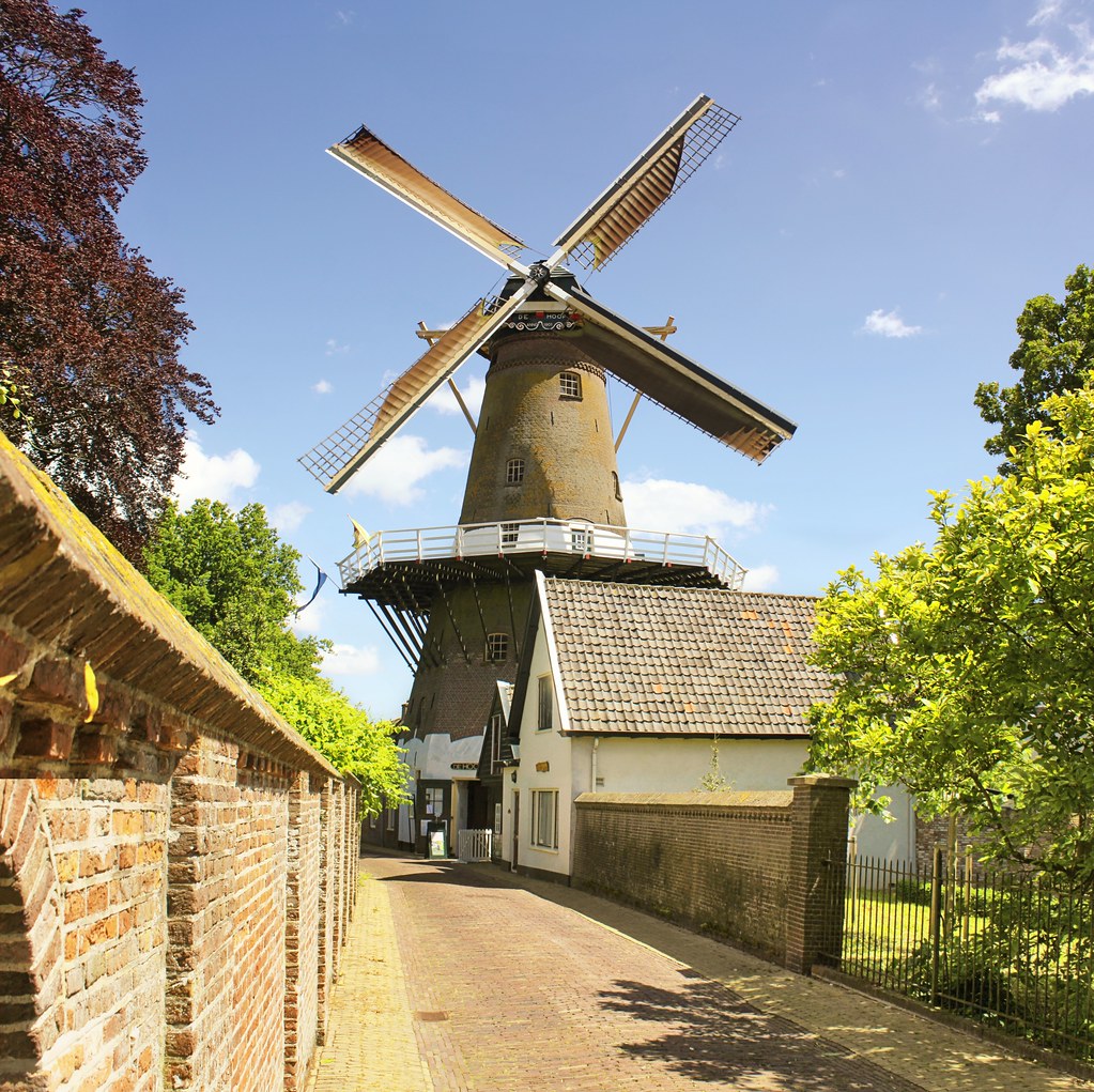A traditional windmill is showcased prominently against a clear blue sky. The structure features large rotating blades and is surrounded by lush green trees and a cobblestone pathway. The charming facade of the adjoining building offers a glimpse of local architecture.