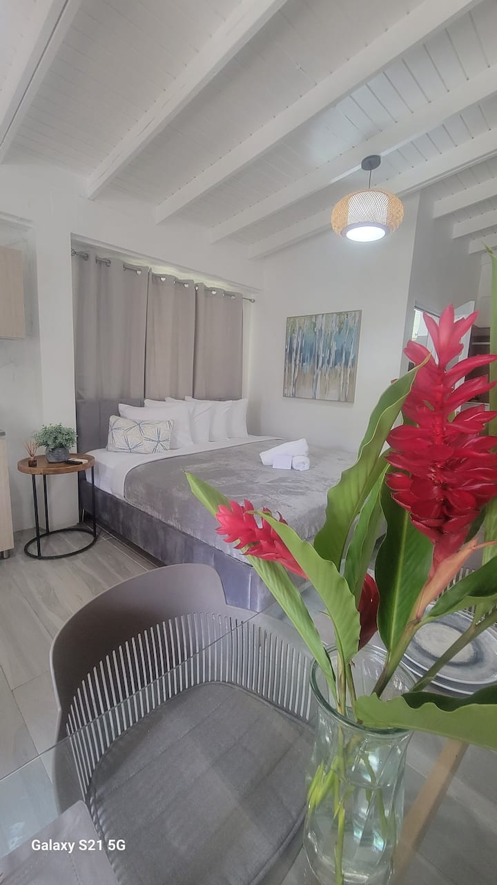 Casita Almendro Apart. With Heated Pool & Bbq Area - San Germán