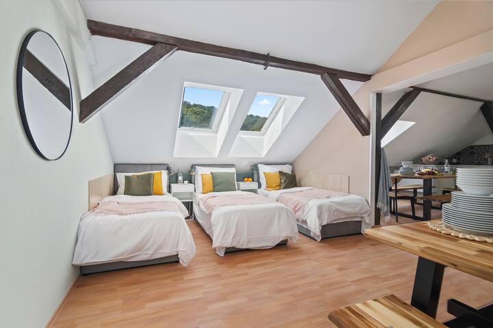 Historic Centre Prague APT 601 by Michal&Friends gallery image 4