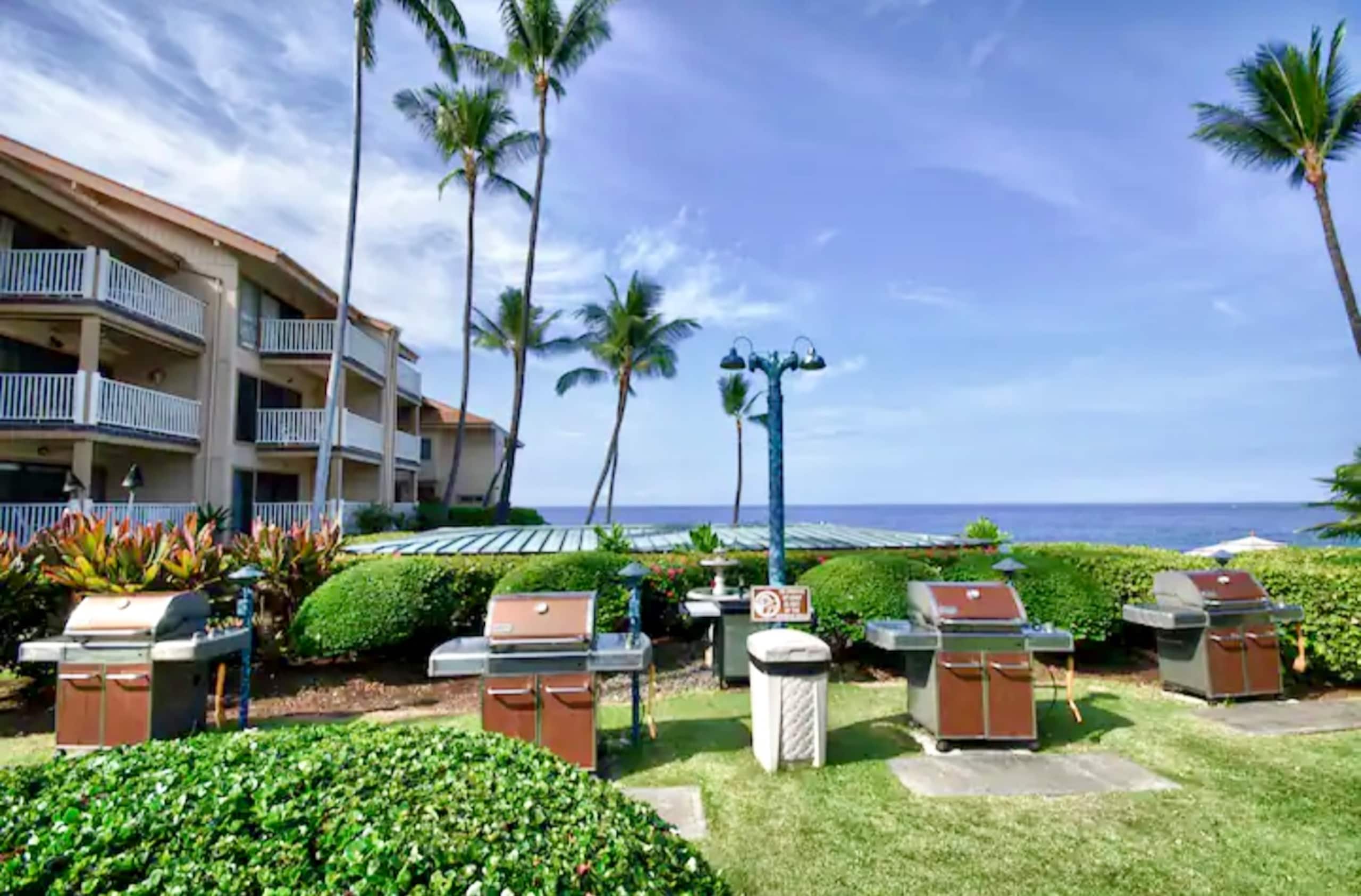 180° Ocean View with AC, see Wildlife from Lanai - Image 39