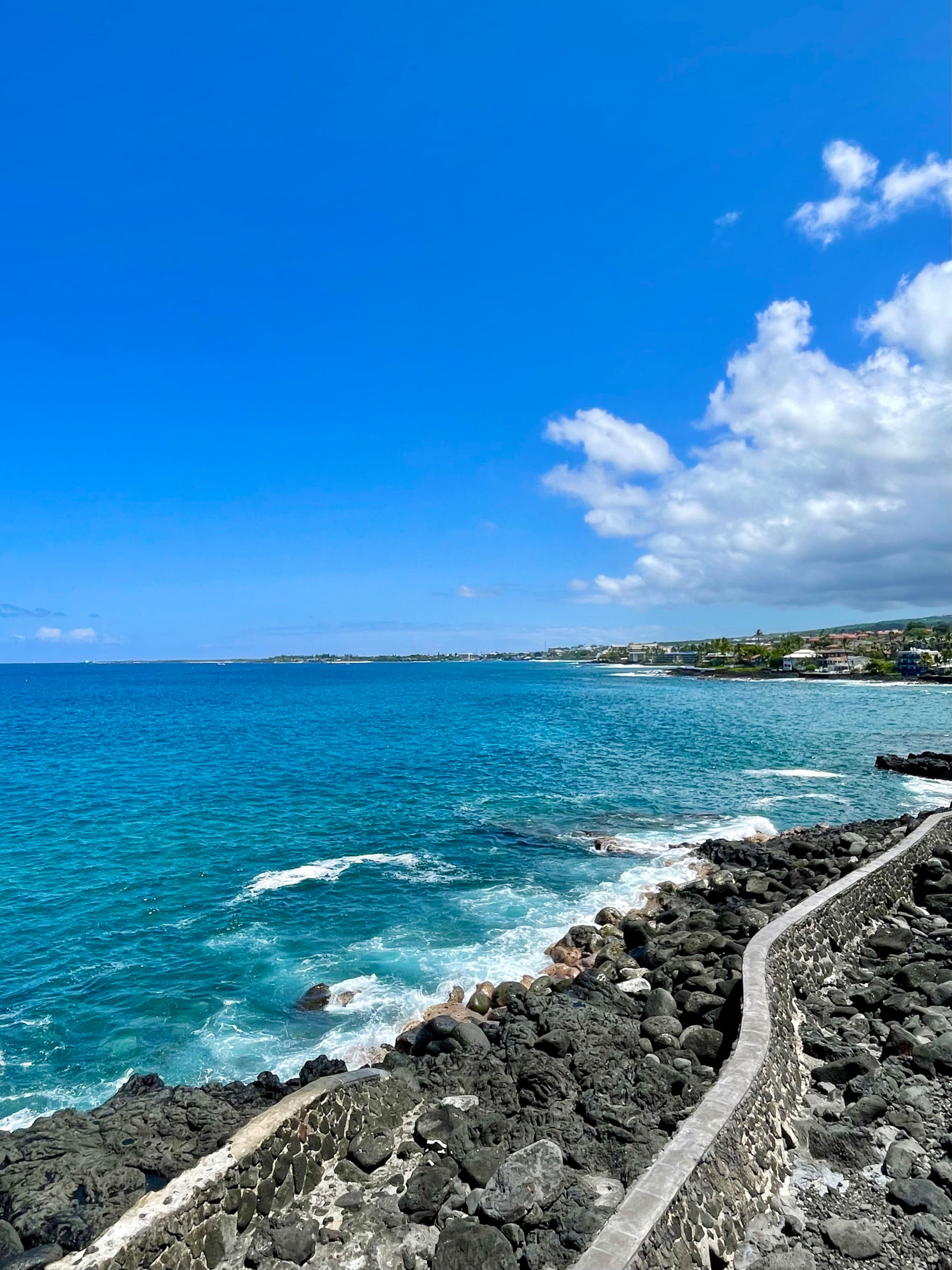 180° Ocean View with AC, see Wildlife from Lanai - Image 30