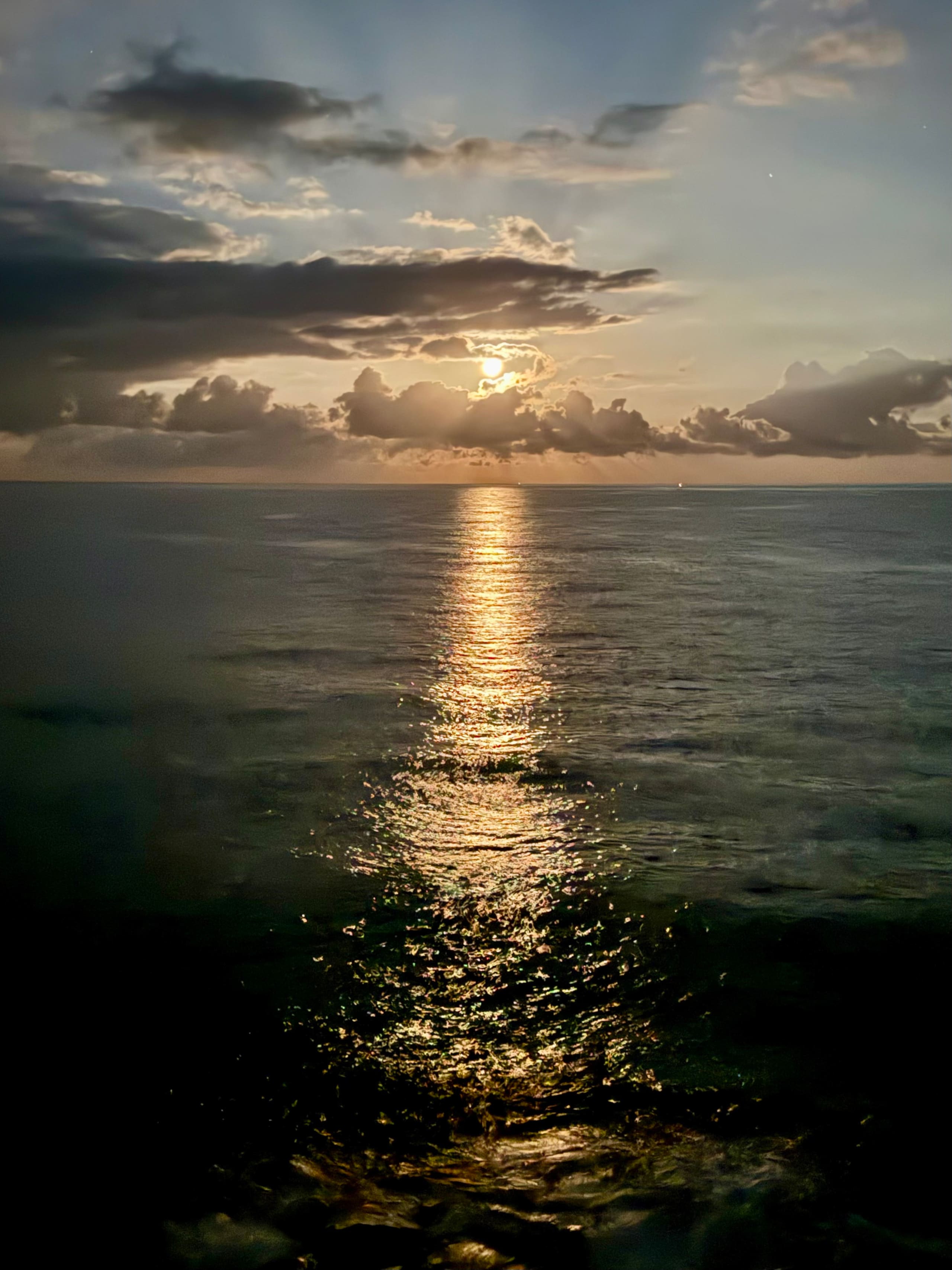 180° Ocean View with AC, see Wildlife from Lanai - Image 35