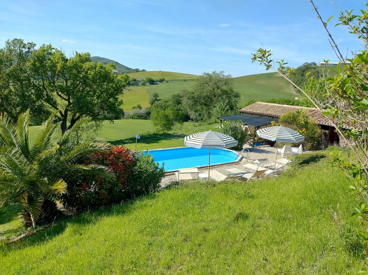 A serene outdoor area is showcased, featuring a swimming pool surrounded by sun loungers and umbrellas. Lush greenery and blooming plants are visible, with rolling hills in the background, adding to the tranquil setting.