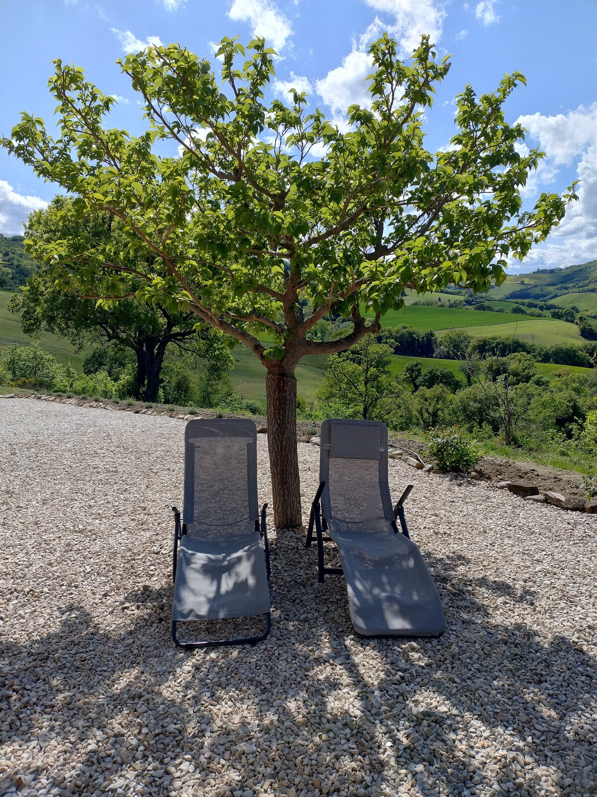 Two lounge chairs are positioned under a large tree, providing shaded relaxation. The surrounding area features a pebbled surface with a view of lush green hills and scattered trees in the distance under a bright sky.