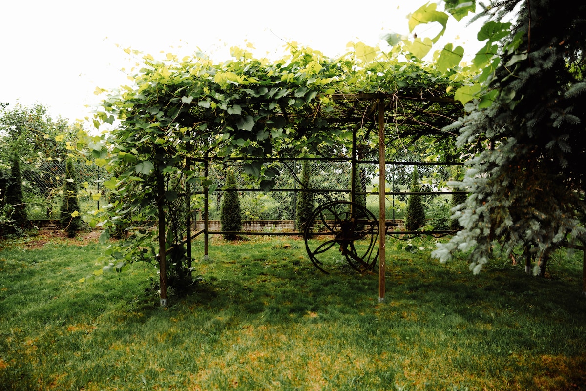 A vine-covered gazebo provides shaded seating surrounded by grassy areas. The structure is framed by lush greenery, with a rustic wheel adding a touch of charm. Enclosed by a wire fence, the space is designed for relaxation in a peaceful outdoor setting.