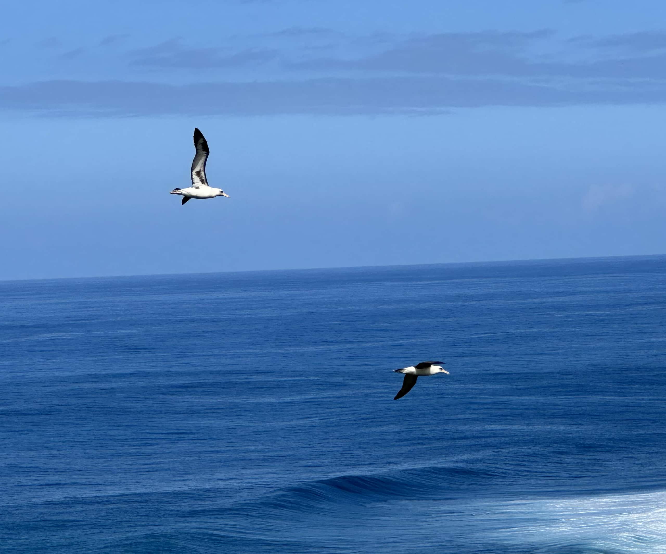 Spectacular Ocean Front View and A/C all Rooms - Image 17