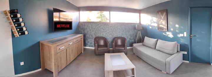 TV 55 pouces avec NETFLIX et PRIME VIDEO