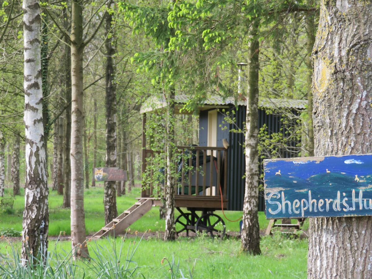 A shepherd's hut is nestled among trees, featuring a wooden deck with steps leading up to it. A sign with 'Shepherds Hut' is visible, indicating the entrance. Lush green grass surrounds the area, creating a natural and tranquil setting.