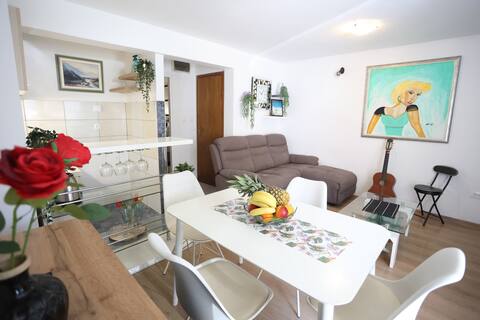 Top performing Airbnb: AdRi in Gradski Kotar Sućidar