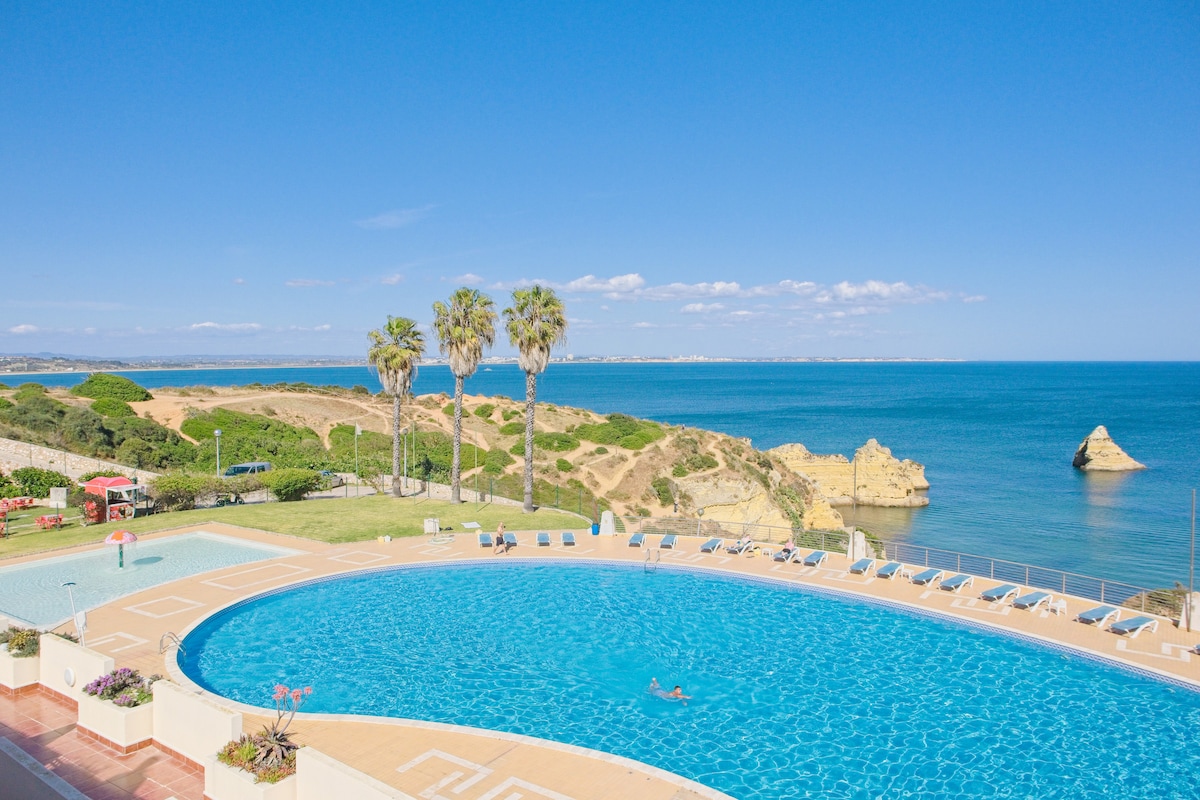 A large swimming pool is featured in the foreground, surrounded by a spacious lawn and palm trees. The view extends to the ocean, with rocky cliffs visible in the distance under a clear blue sky.