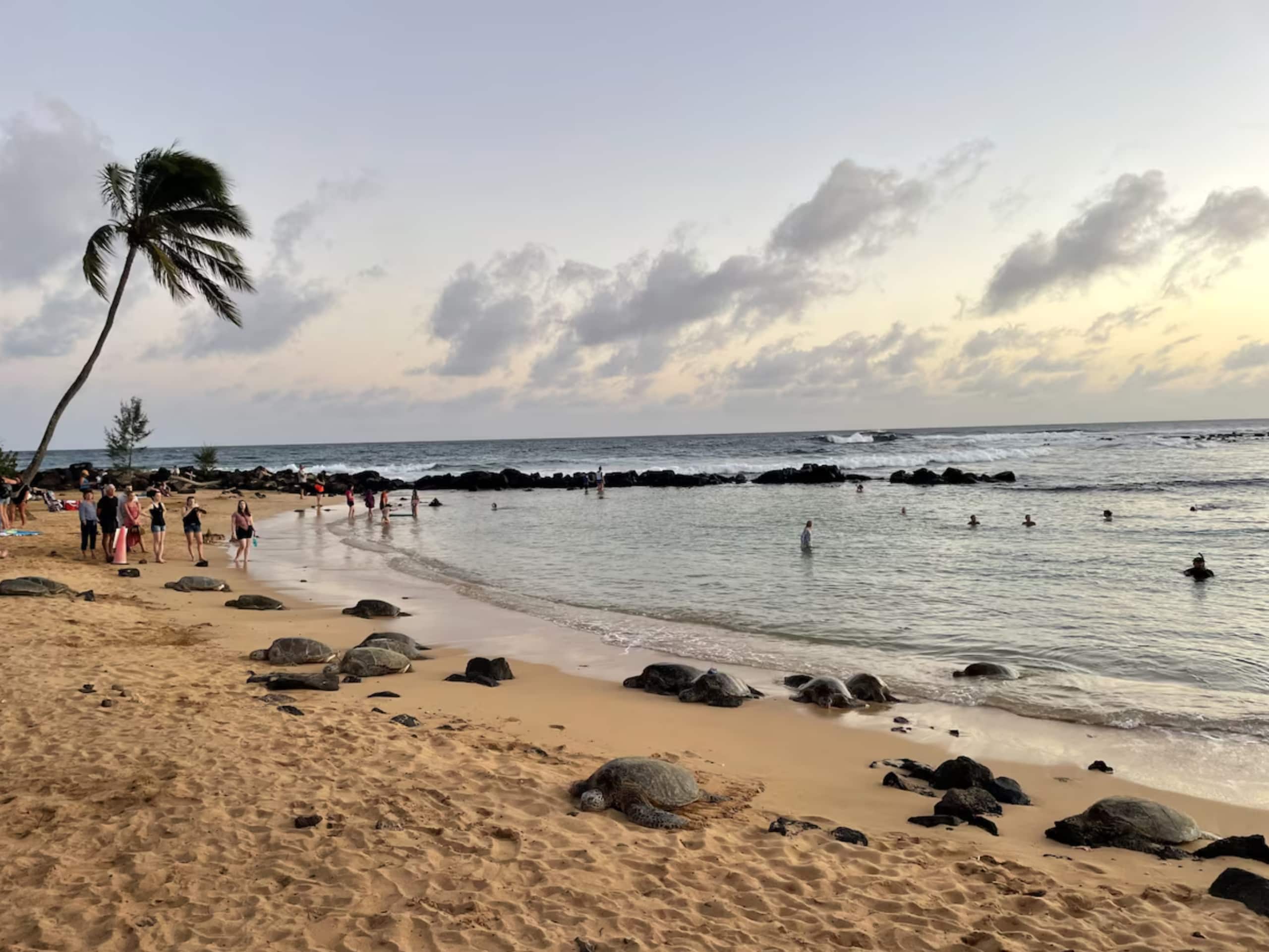 Townhouse in Koloa · ★5.0 · 2 bedrooms · 2 beds · 2 shared baths - Image 52