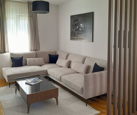 Successful Airbnb property: Apartment Petar / 2BR /WiFi in Tivat