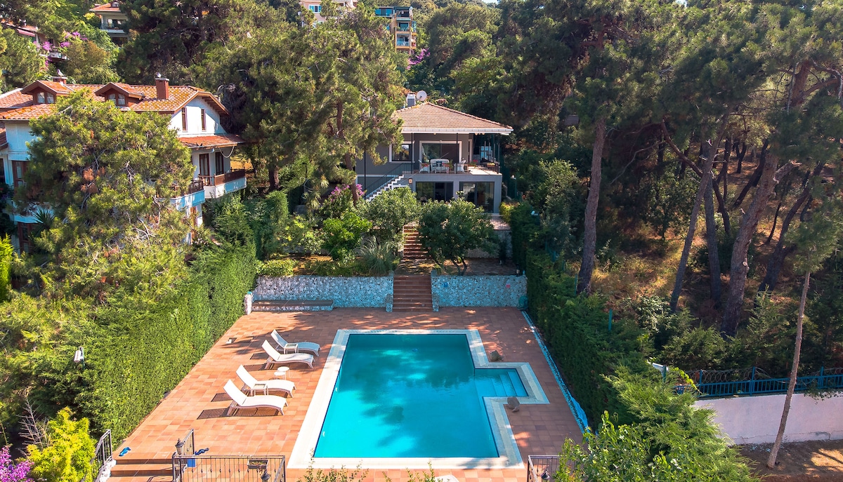 An outdoor space features a rectangular swimming pool surrounded by a spacious tiled patio. Sun loungers are arranged neatly beside the pool. The lush greenery and tall trees provide a natural backdrop, enhancing the sense of tranquility in this inviting area.