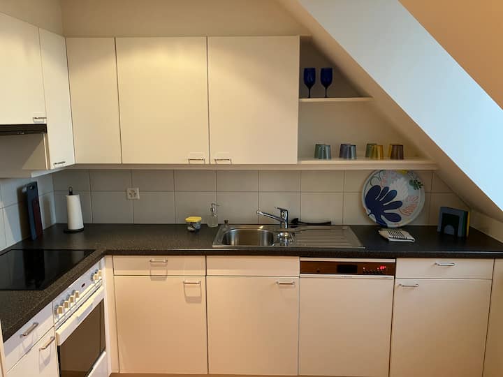 Reliving - Vibrant Duplex In City Center - Lucerne