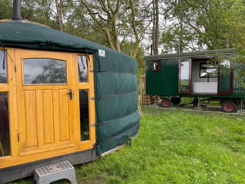 Special stay in Tiny Forrest and Bulb Fields