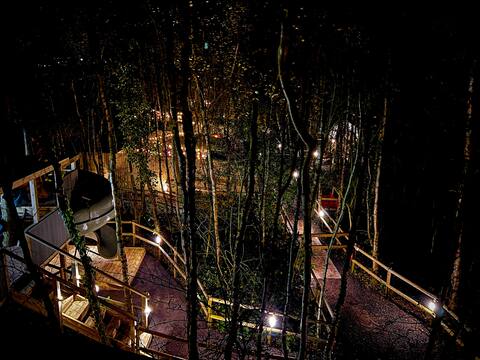 The Tree Tops @The Secret Garden