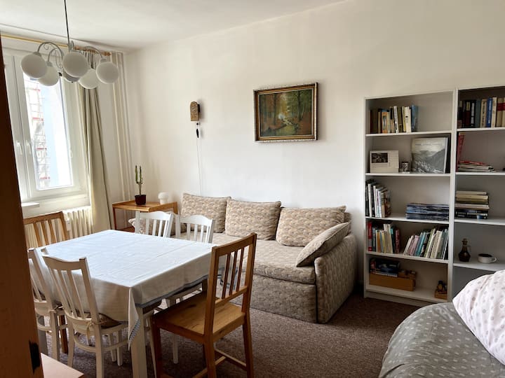 Apartment Under The Cold Mountain - Rokytnice nad Jizerou