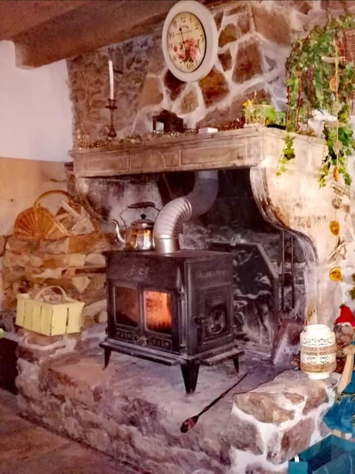 Le Pinson Joyeux - Rhône-Alpes