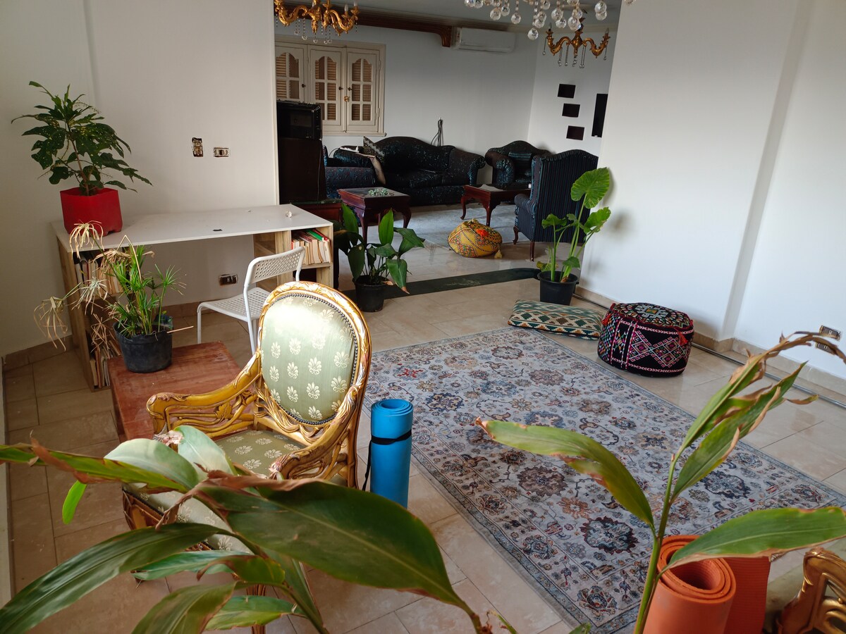A spacious common area features comfortable seating arrangements, including a patterned rug and various plants strategically placed around the room. Light-colored walls enhance the area’s brightness, while a large window allows natural light to fill the space.