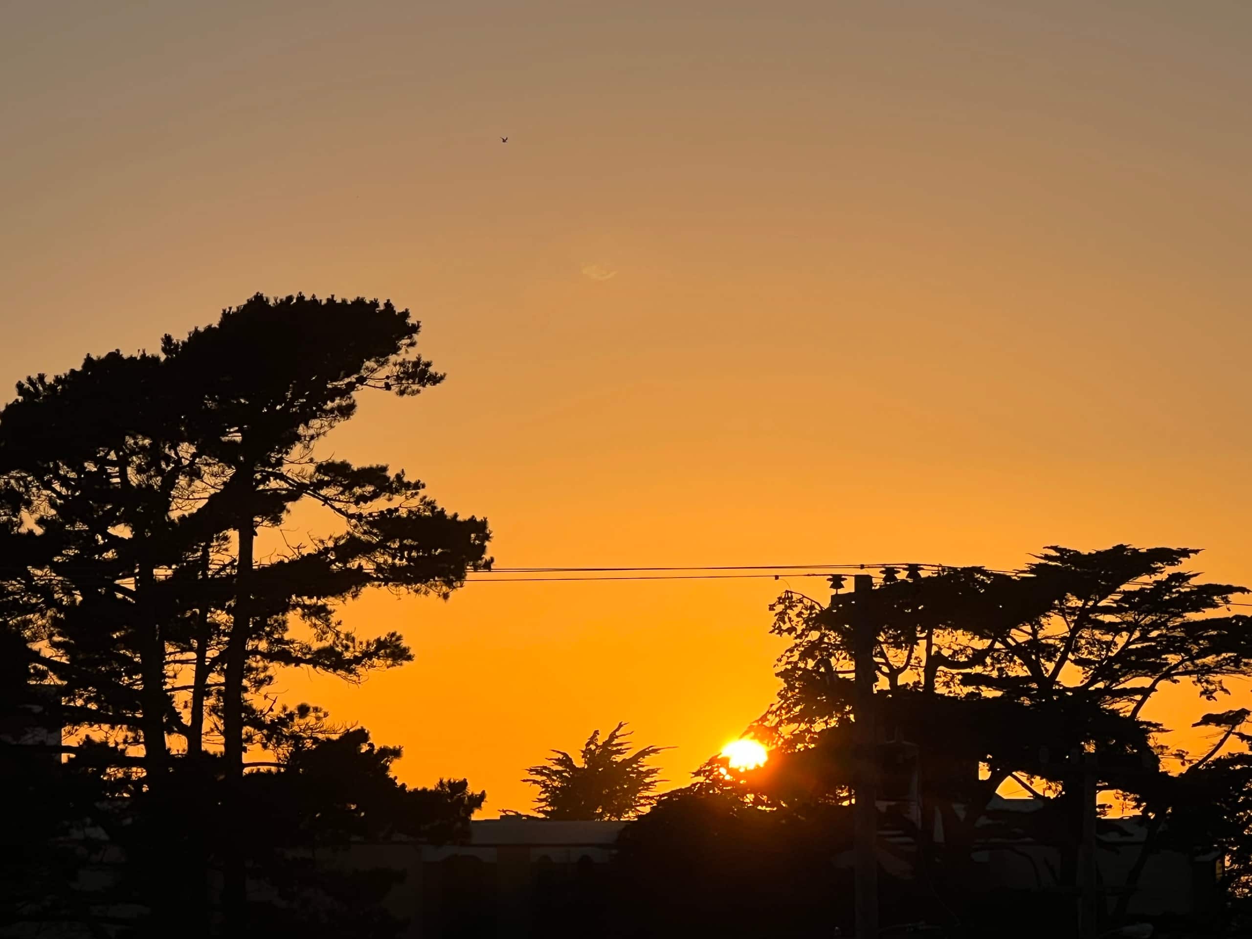 Home in San Francisco · ★4.98 · 3 bedrooms · 4 beds · 2 baths - Image 35