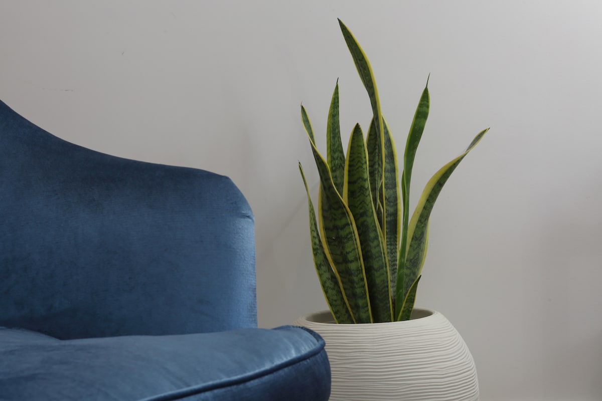 Leistungsstarkes Airbnb: Agrodolce suite in Cefalù