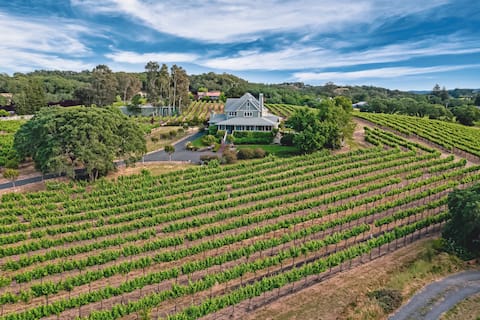Lux views of Alexander Valley 4br/3.5b POOL & SPA