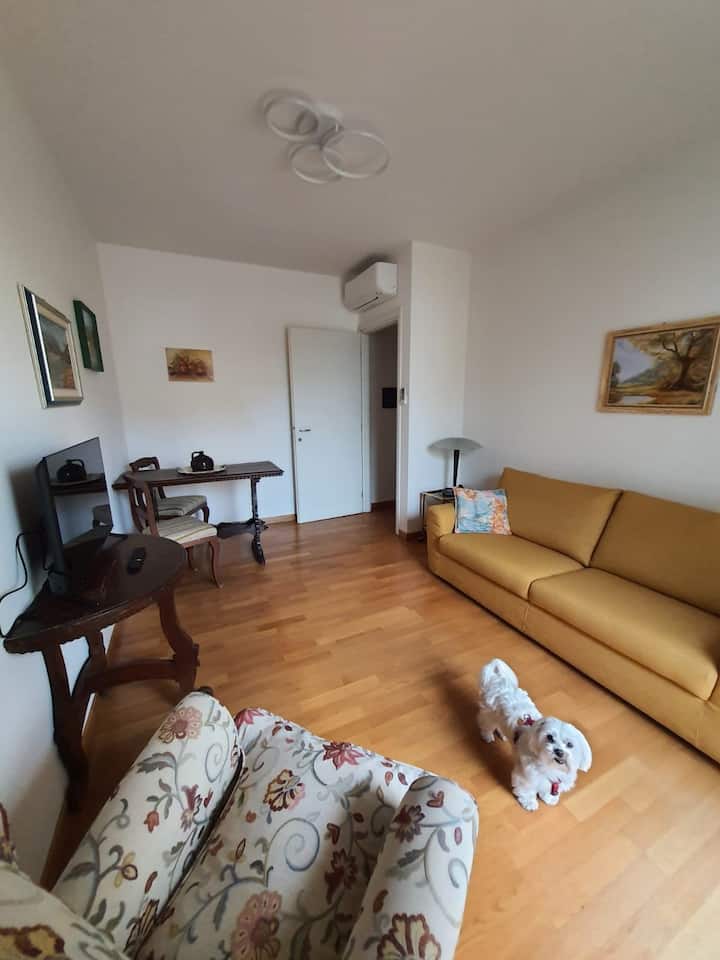 Le Rose Appartamento Verbania - Verbania