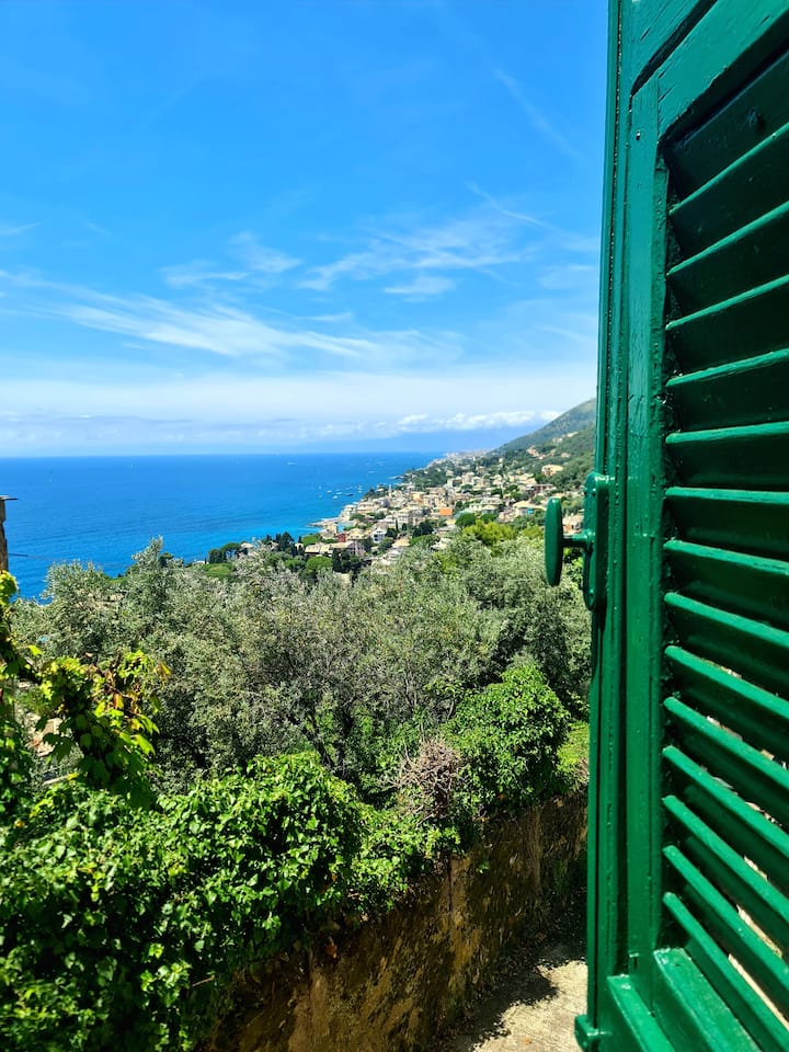 Il Sogno Del Capitano - Bogliasco