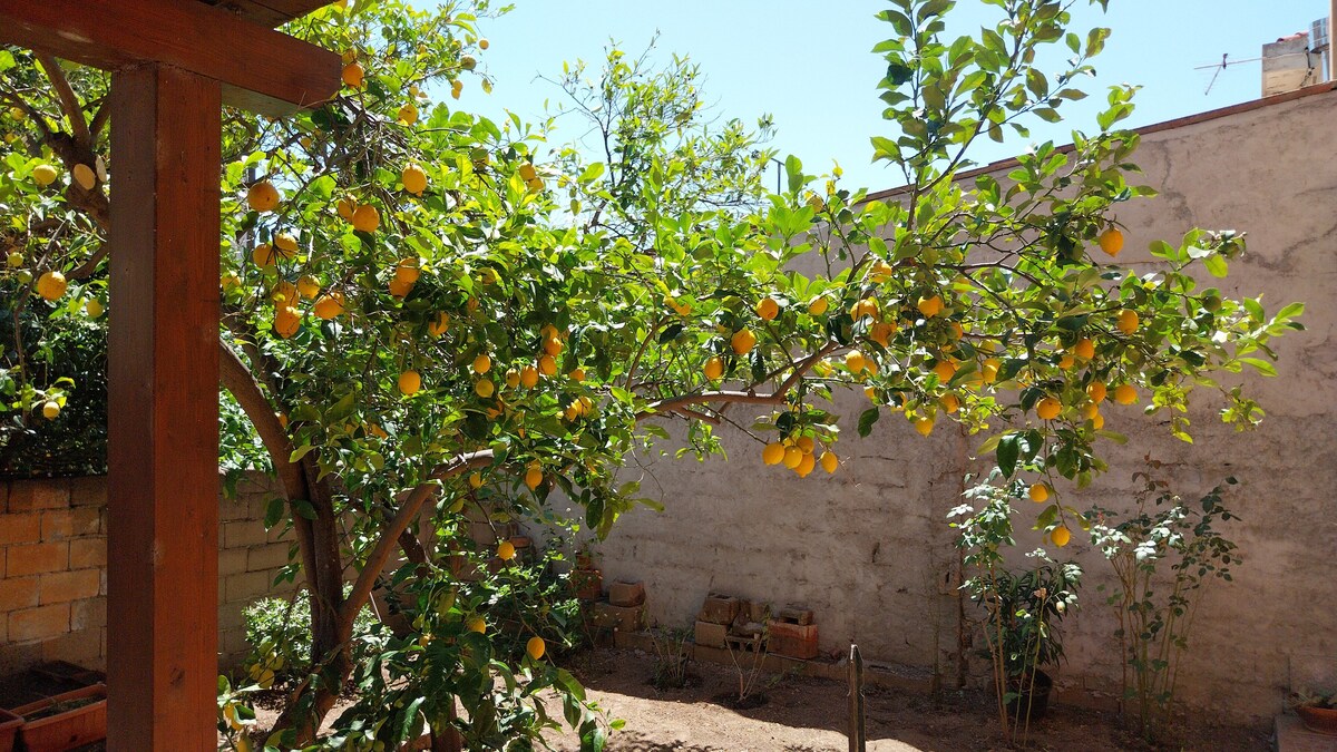 A garden space features a prominent lemon tree laden with ripe lemons. The background displays a simple, gray wall, while a wooden structure adds a touch of warmth. The space is surrounded by patches of earth, suggesting a tranquil and inviting outdoor area.