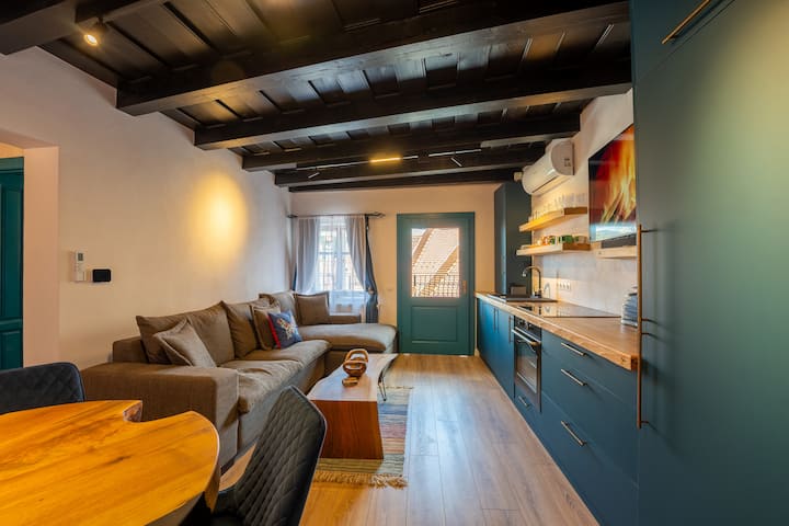 Casa Albastră By Casa Otto - Ac Available - Sighișoara