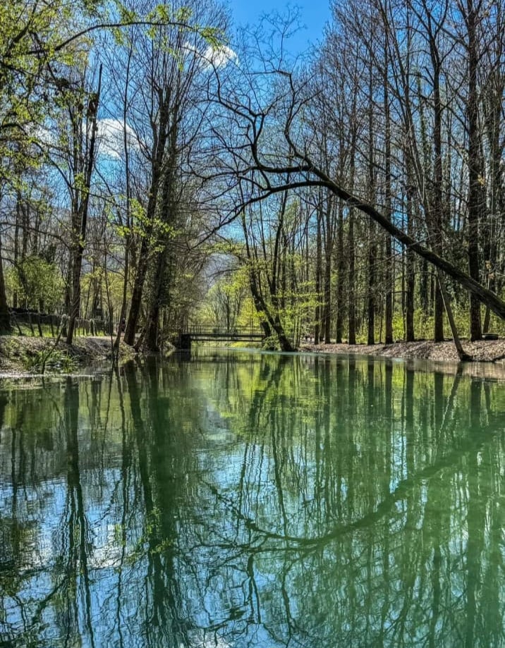 A serene waterway is surrounded by bare trees and budding greenery, reflecting the vibrant blue sky. A wooden bridge is visible in the distance, creating a tranquil scene that invites moments of peaceful contemplation.