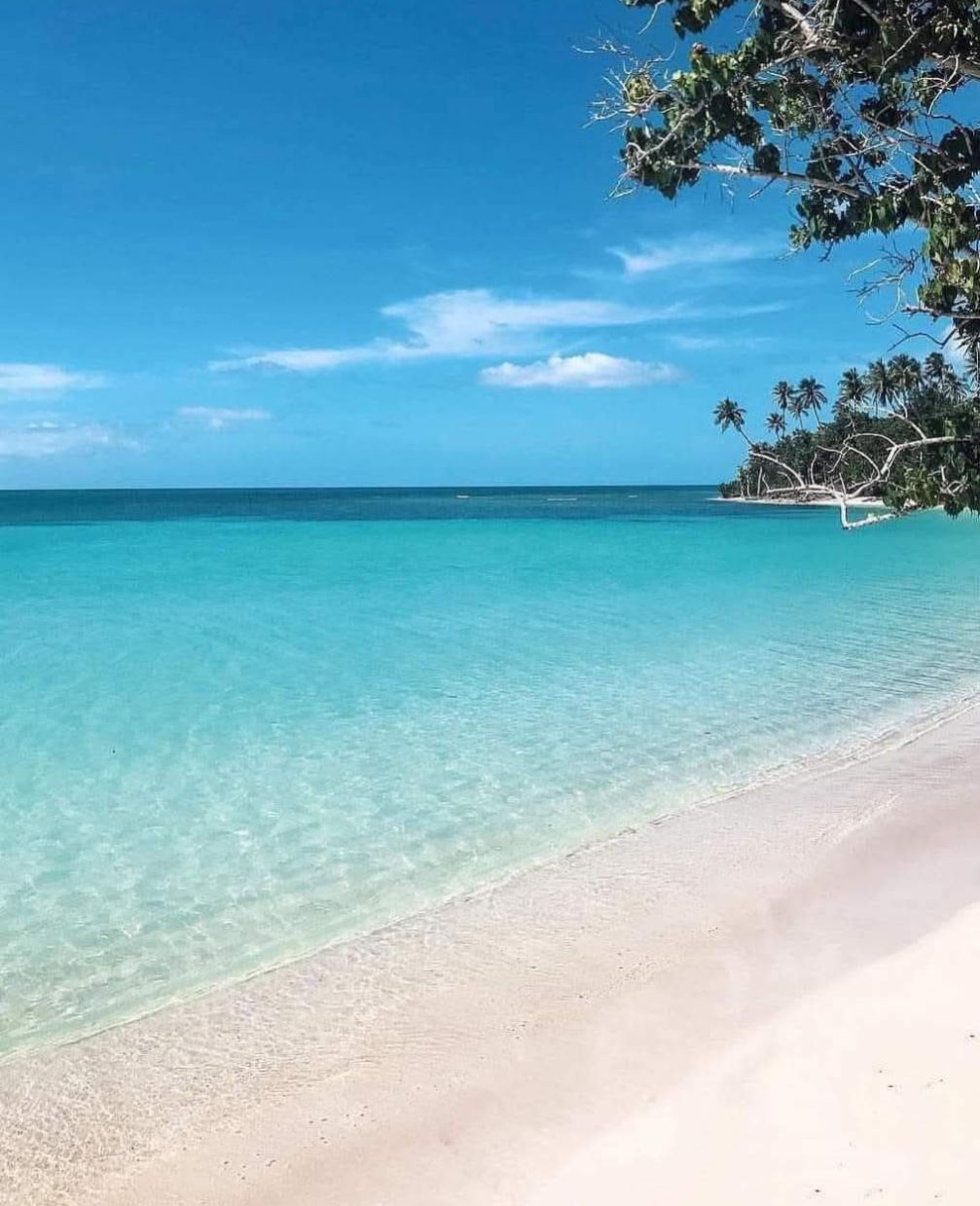 A tranquil beach scene is displayed, featuring clear turquoise waters gently lapping against a soft, sandy shoreline. Palm trees can be seen in the distance, framing the serene landscape under a bright blue sky with scattered clouds.