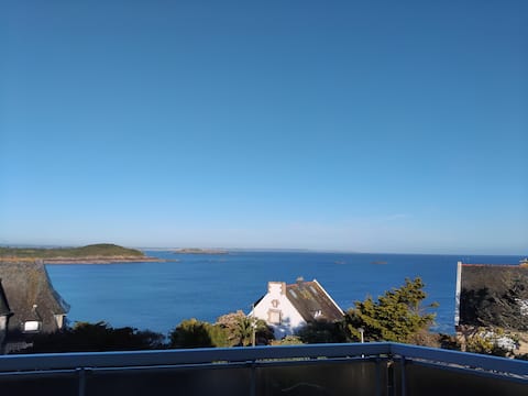 Popular Airbnb listing: Accommodation with terrace and exceptional sea views in Saint Lunaire