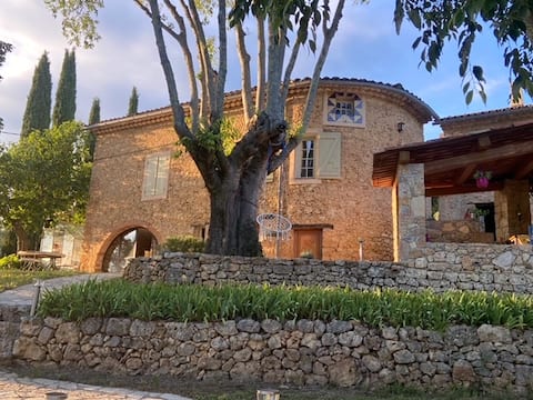 Provence vineyard with pool, & olive grove
