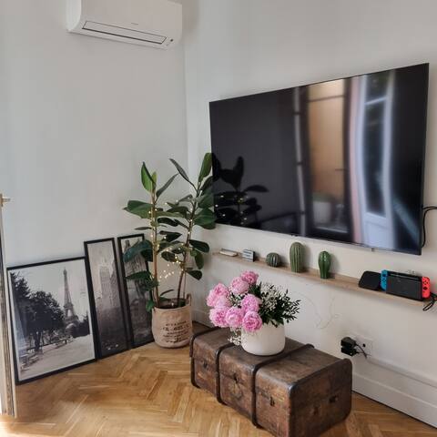 Top performing Airbnb: Charming 70 M2 coeur de Nice in Libération