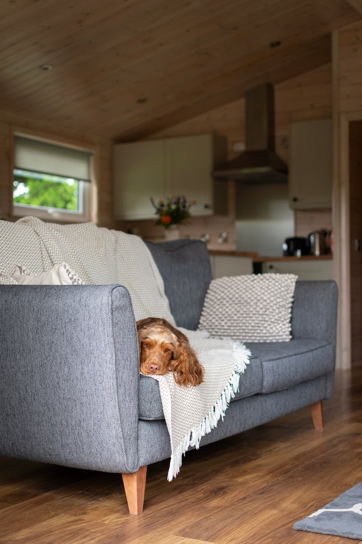 Kingfisher Lodge - Ripon