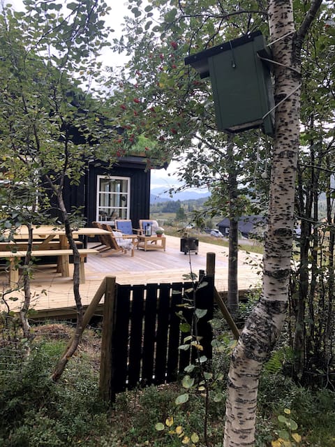 Welcome to Meisbu on Fjellsætra