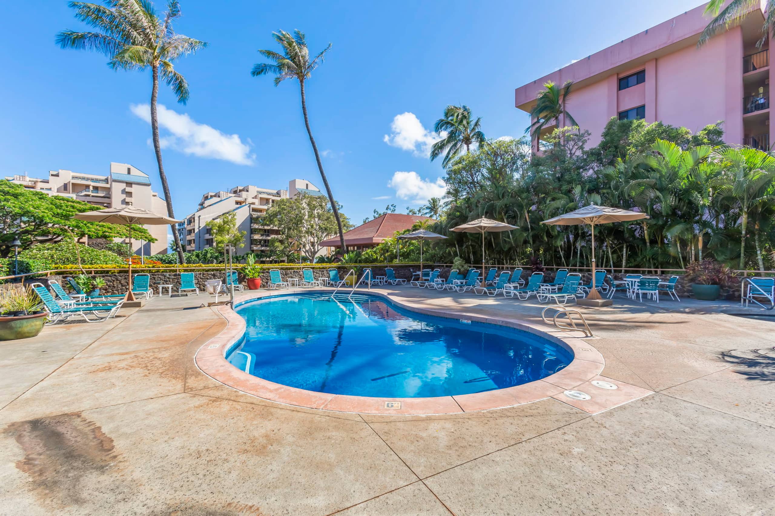 Condo in Lahaina · ★4.96 · 2 bedrooms · 2 beds · 2 private baths - Image 41