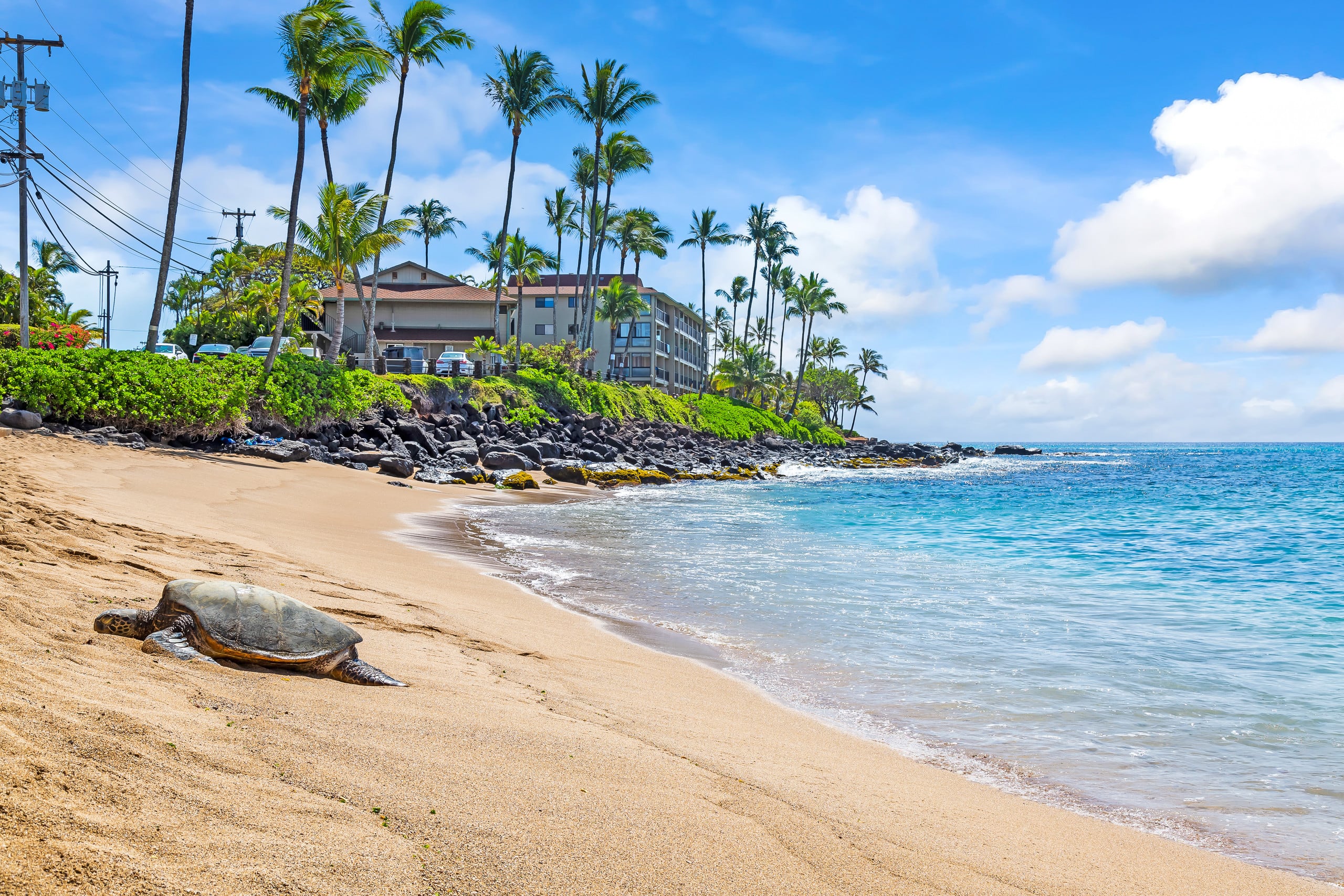 Condo in Lahaina · ★4.96 · 2 bedrooms · 2 beds · 2 private baths - Image 47